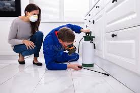 Best Fumigation Services  in Pulaski, NY